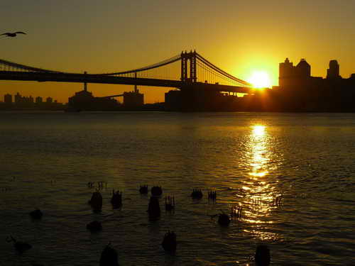 NYC_2012-11-23 07-20-55_P1070642